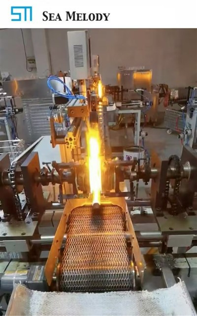 এসএম-জে 56 পেট্রি ডিশ মেশিন